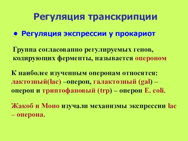 Регуляция транскрипции Регуляция экспрессии у прокариот Группа согласованно регулируемых генов, кодирующих