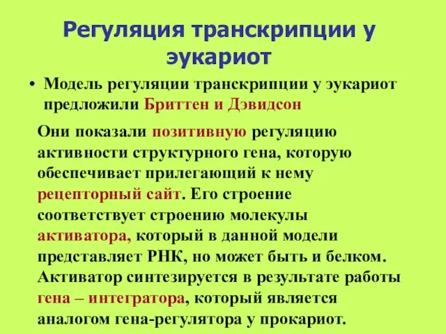 Регуляция транскрипции у эукариот Модель регуляции транскрипции у эукариот предложили Бриттен