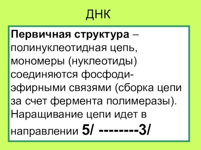 ДНК Первичная структура – полинуклеотидная цепь, мономеры (нуклеотиды) соединяются фосфоди-эфирными связями