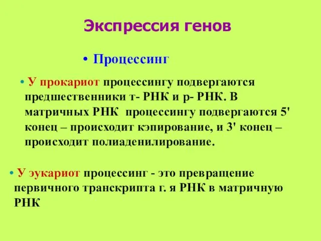 Экспрессия генов У прокариот процессингу подвергаются предшественники т- РНК и р-