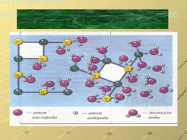 Растворение кристалла хлорида натрия в воде.