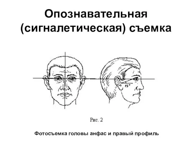 Опознавательная (сигналетическая) съемка Фотосъемка головы анфас и правый профиль