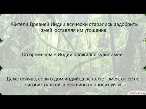 Даже сейчас, если в дом индийца заползет змея, он её не