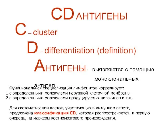 C – cluster D – differentiation (definition) АНТИГЕНЫ – выявляются с