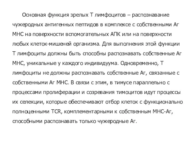 Основная функция зрелых Т лимфоцитов – распознавание чужеродных антигенных пептидов в