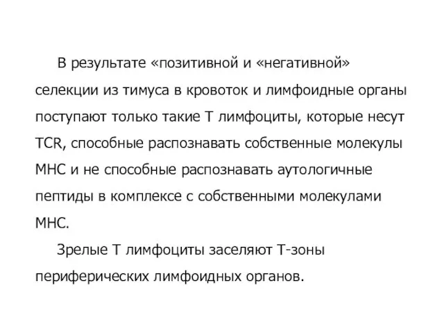 В результате «позитивной и «негативной» селекции из тимуса в кровоток и