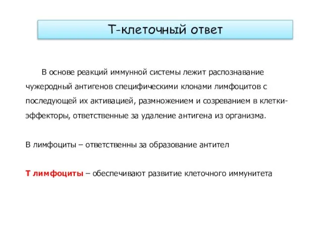 Т-клеточный ответ В основе реакций иммунной системы лежит распознавание чужеродный антигенов