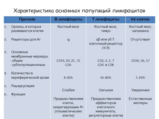 Характеристика основных популяций лимфоцитов