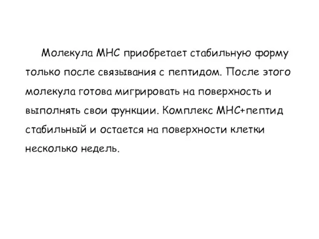 Молекула МНС приобретает стабильную форму только после связывания с пептидом. После