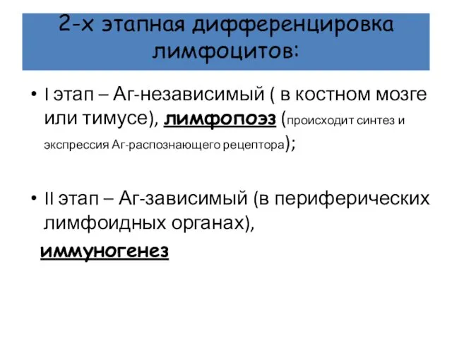 2-х этапная дифференцировка лимфоцитов: I этап – Аг-независимый ( в костном