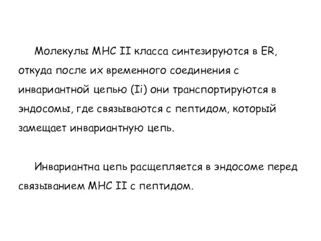 Молекулы МНС II класса синтезируются в ER, откуда после их временного