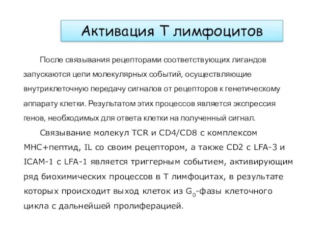 После связывания рецепторами соответствующих лигандов запускаются цепи молекулярных событий, осуществляющие внутриклеточную