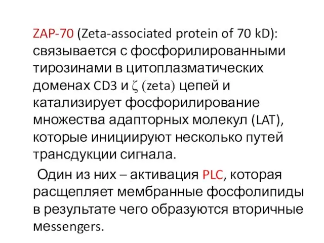 ZAP-70 (Zeta-associated protein of 70 kD): связывается с фосфорилированными тирозинами в