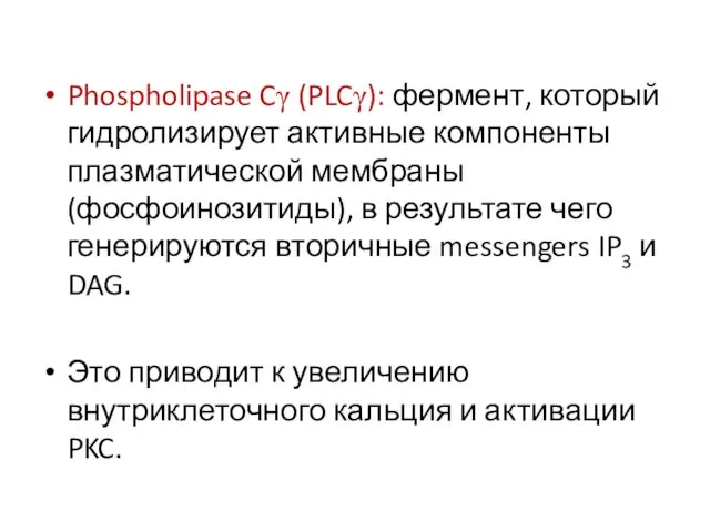 Phospholipase Cγ (PLCγ): фермент, который гидролизирует активные компоненты плазматической мембраны (фосфоинозитиды),