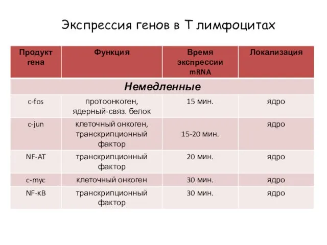 Экспрессия генов в Т лимфоцитах