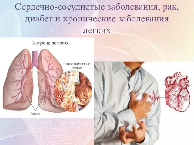 Сердечно-сосудистые заболевания, рак, диабет и хронические заболевания легких