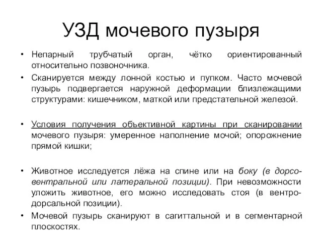 УЗД мочевого пузыря Непарный трубчатый орган, чётко ориентированный относительно позвоночника. Сканируется