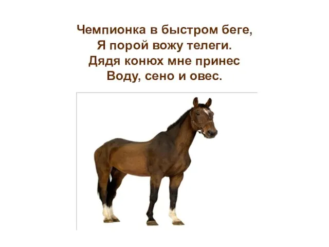 Чемпионка в быстром беге, Я порой вожу телеги. Дядя конюх мне принес Воду, сено и овес.