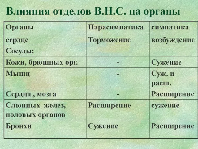 Влияния отделов В.Н.С. на органы