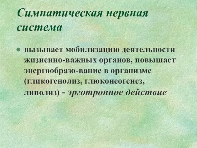 Симпатическая нервная система вызывает мобилизацию деятельности жизненно-важных органов, повышает энергообразо-вание в