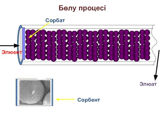 Бөлу процесі Элюент Элюат