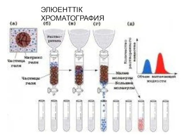 ЭЛЮЕНТТІК ХРОМАТОГРАФИЯ