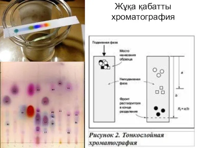 Жұқа қабатты хроматография