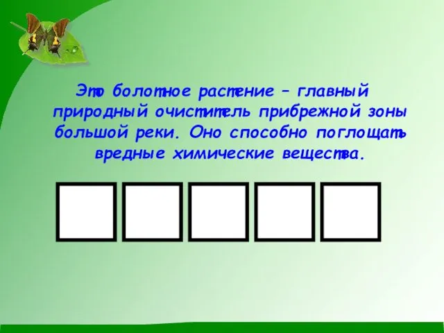 Это болотное растение – главный природный очиститель прибрежной зоны большой реки.