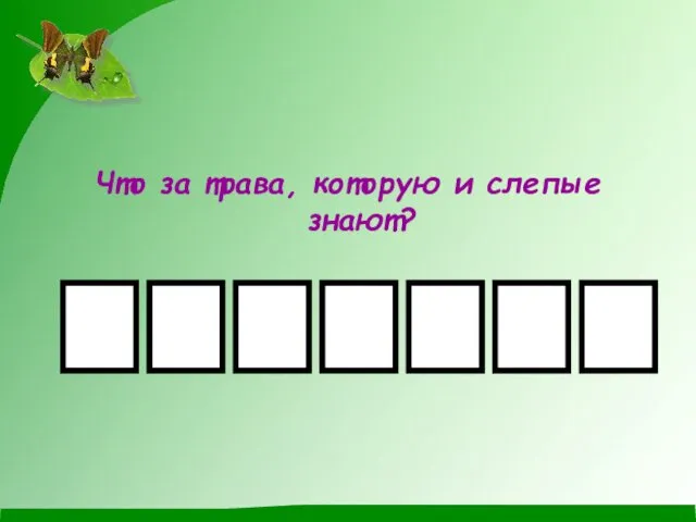 Что за трава, которую и слепые знают? Задание II тура