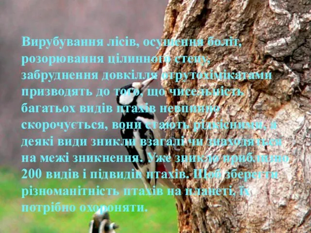 Вирубування лісів, осушення боліт, розорювання цілинного степу, забруднення довкілля отрутохімікатами призводять