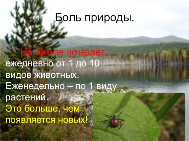 Боль природы. На Земле исчезает: ежедневно от 1 до 10 видов