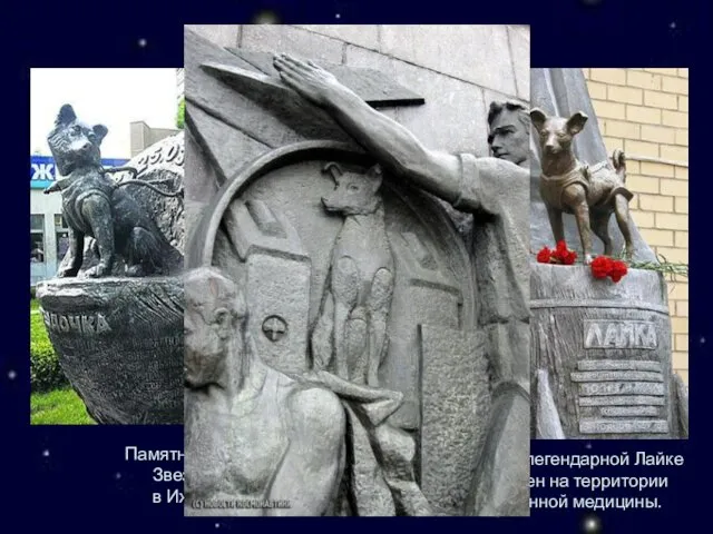 Памятник легендарной Лайке установлен на территории НИИ военной медицины. Памятник собаки Звездочке в Ижевске