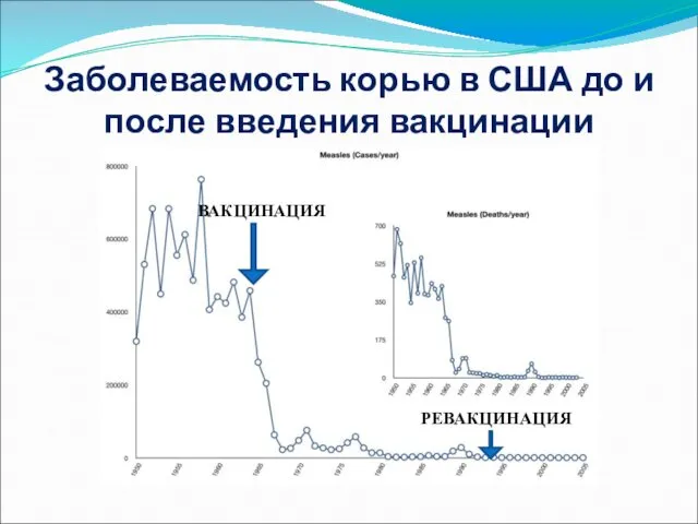 Заболеваемость корью в США до и после введения вакцинации ВАКЦИНАЦИЯ РЕВАКЦИНАЦИЯ