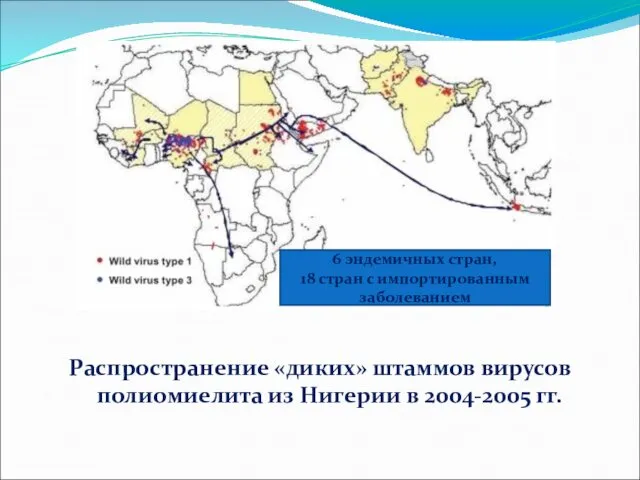 Распространение «диких» штаммов вирусов полиомиелита из Нигерии в 2004-2005 гг. 6