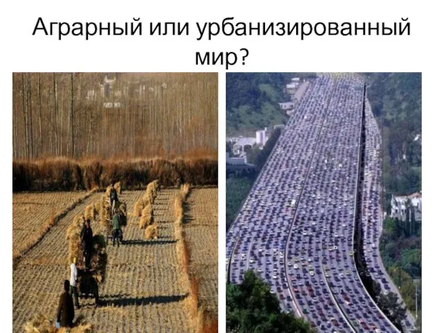 Аграрный или урбанизированный мир?