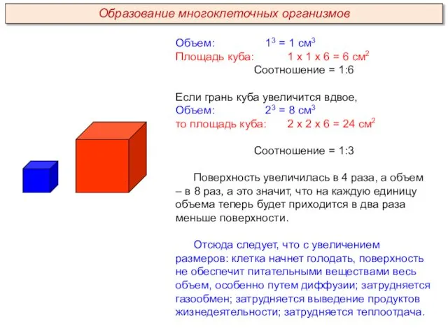 Объем: 13 = 1 см3 Площадь куба: 1 х 1 х