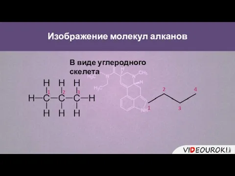 Изображение молекул алканов В виде углеродного скелета 1 1 2 2 3 3 4