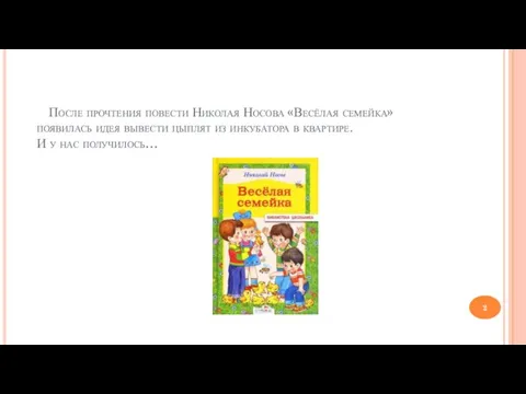 После прочтения повести Николая Носова «Весёлая семейка» появилась идея вывести цыплят