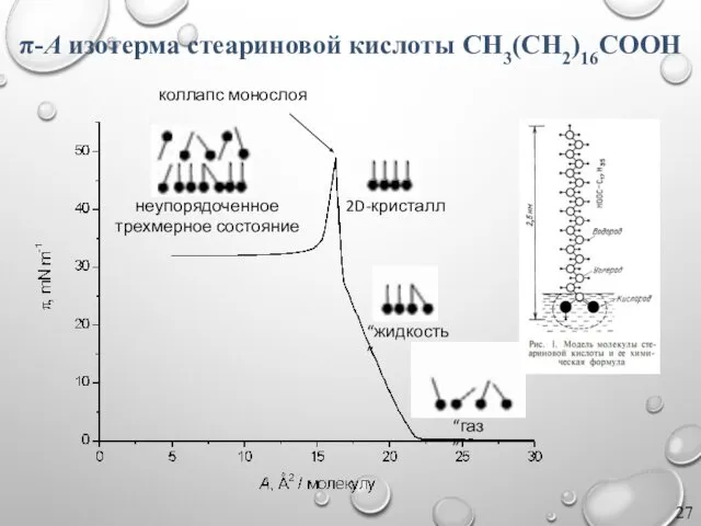 π-A изотерма стеариновой кислоты CH3(CH2)16COOH “газ” “жидкость” 2D-кристалл коллапс монослоя неупорядоченное трехмерное состояние