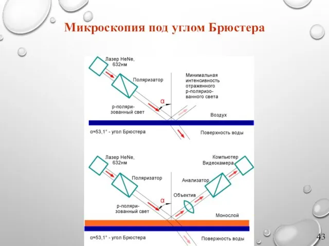 Микроскопия под углом Брюстера