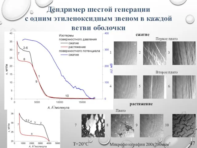 Первое плато Второе плато сжатие растяжение Плато Микрофотографии 200х200мкм2 Т=20°С 1