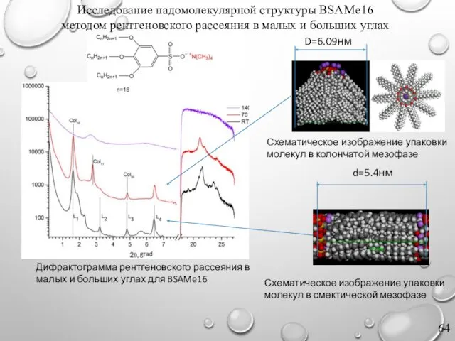 Исследование надомолекулярной структуры BSAMe16 методом рентгеновского рассеяния в малых и больших