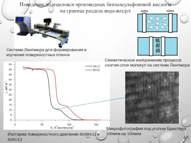 Изотерма поверхностного давления BSAMe12 и BSAEt12 Микрофотография под уголом Брюстера 100мкм