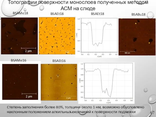 Топографии поверхности монослоев полученных методом АСМ на слюде BSAEt18 BSAEt16 BSABu18