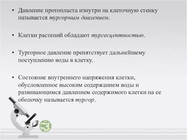 Давление протопласта изнутри на клеточную стенку называется тургорным давлением. Клетки растений