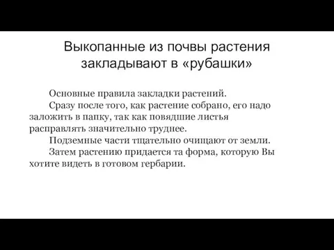 Выкопанные из почвы растения закладывают в «рубашки» Основные правила закладки растений.