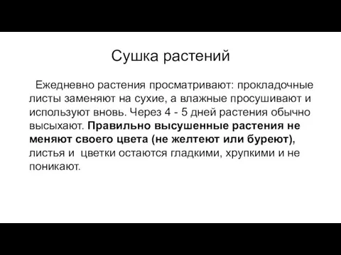 Сушка растений Ежедневно растения просматривают: прокладочные листы заменяют на сухие, а