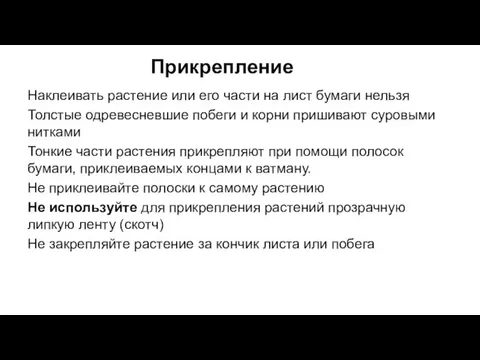 Прикрепление Наклеивать растение или его части на лист бумаги нельзя Толстые