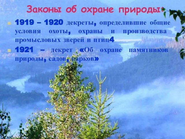 Законы об охране природы: 1919 – 1920 декреты, определившие общие условия