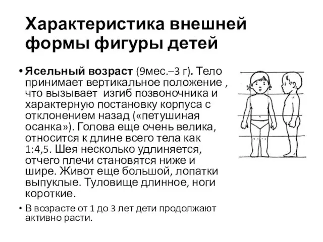 Ясельный возраст (9мес.–3 г). Тело принимает вертикальное положение , что вызывает